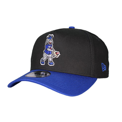 Las Vegas 51s – The Fly Zone